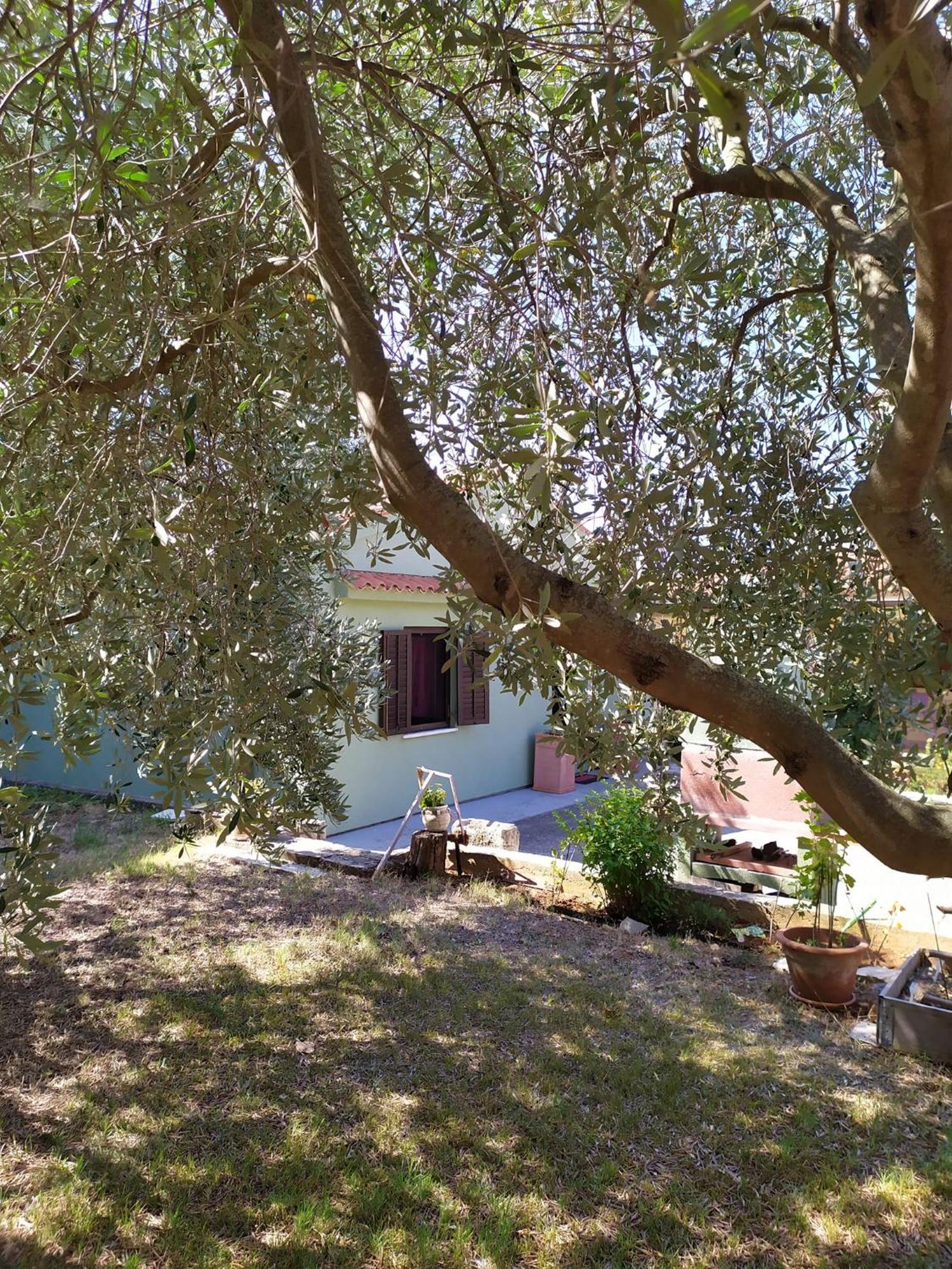 Apartmani Tara Медулин Екстериор снимка